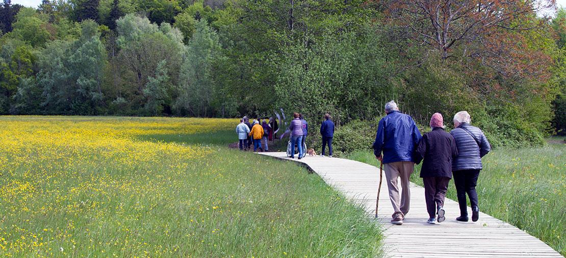 Marche accompagnée