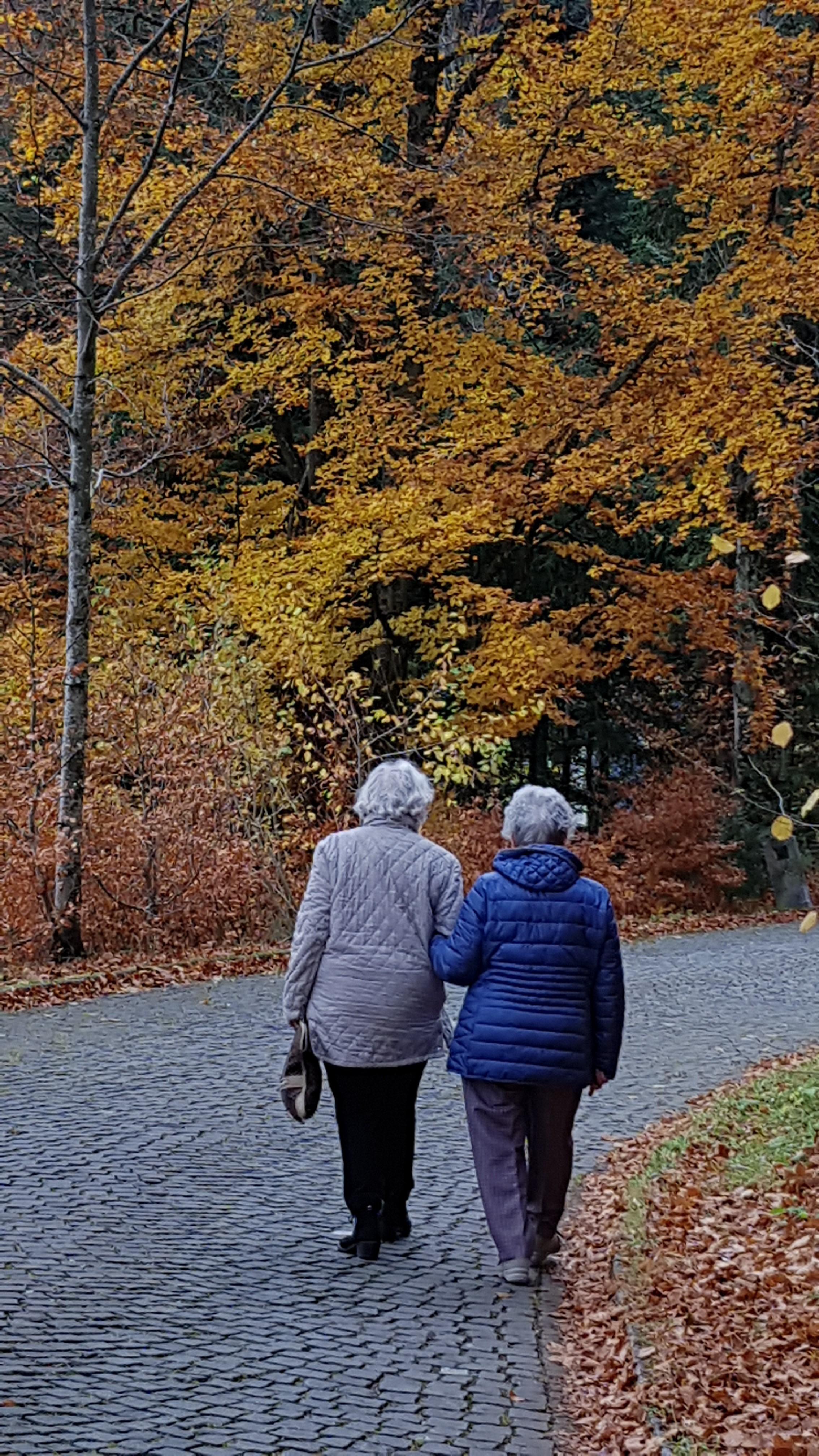 L'Esprit de Famille