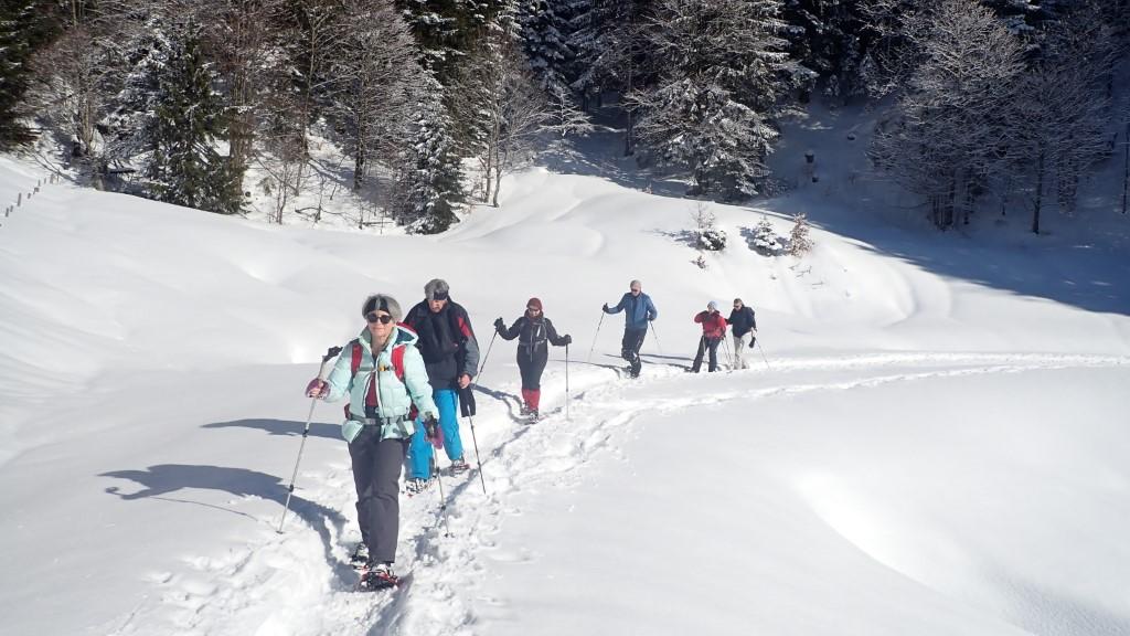 mosa!k - zäme im Schnee