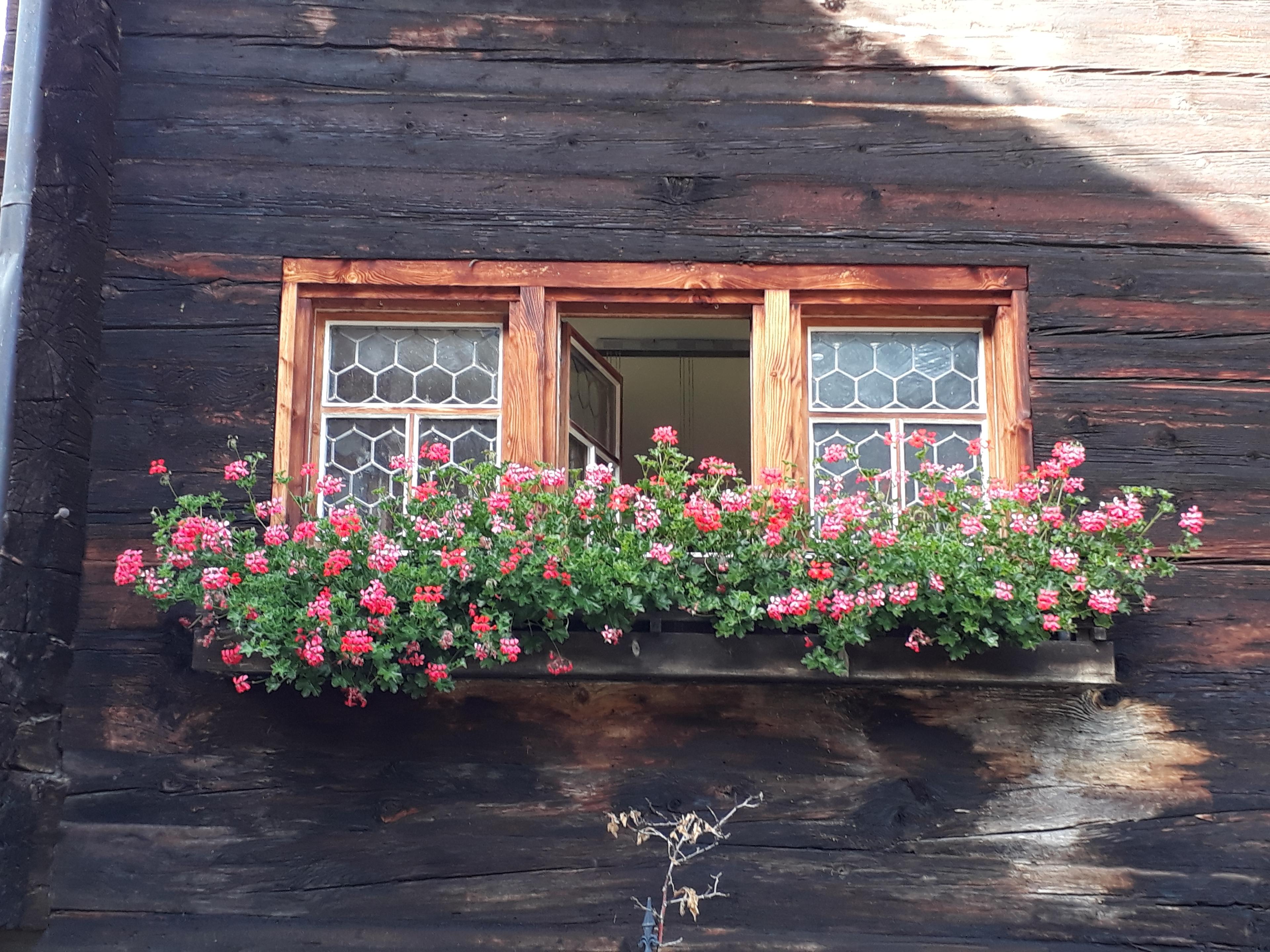 " Frische Brise" Betreuung, Pflege und Entlastung