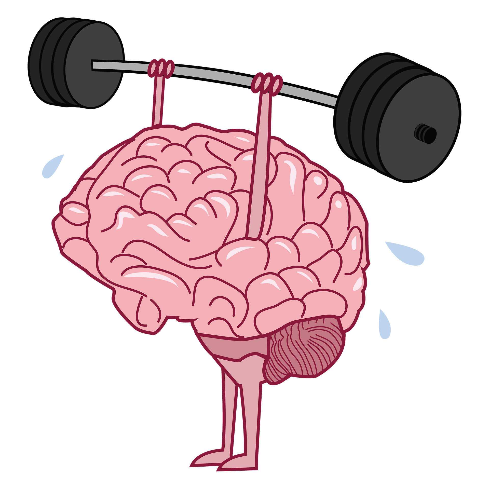 Hirntraining