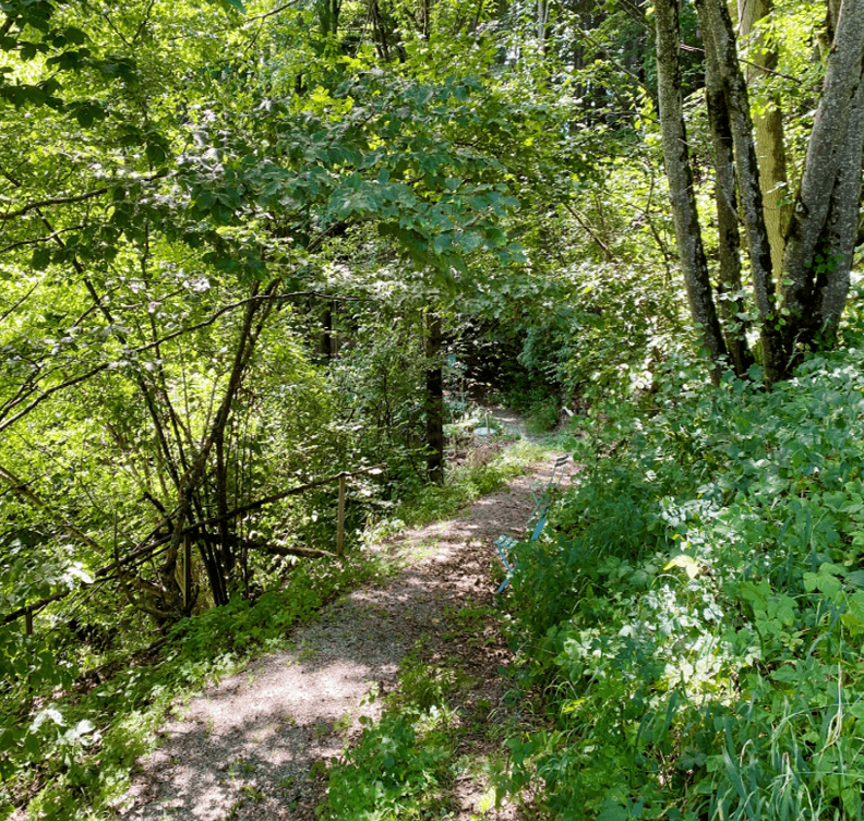 Zugehende Demenzberatung