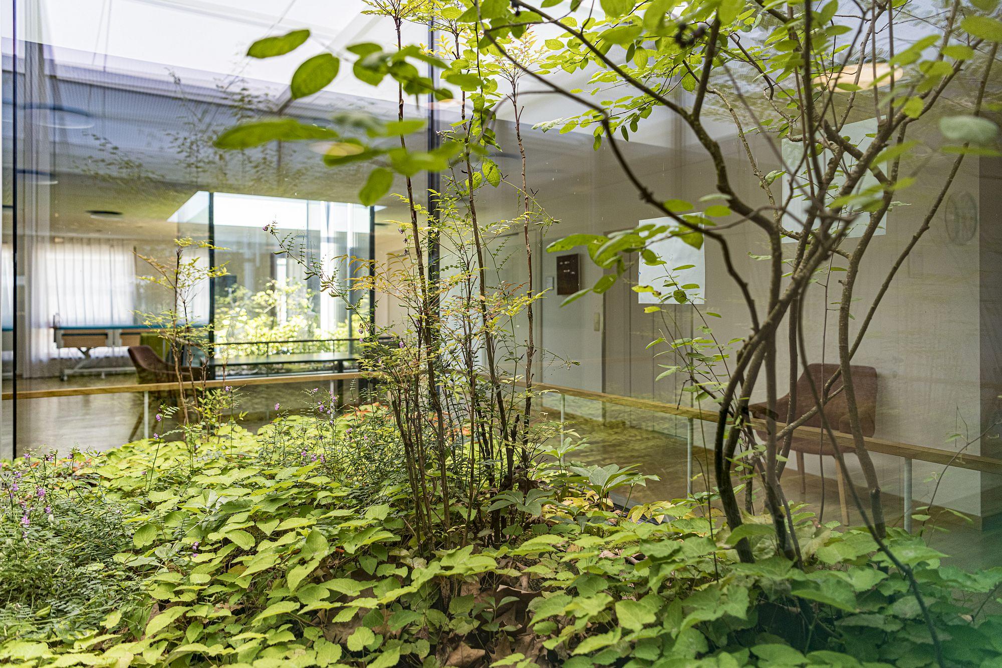 Pflegeheim Wohnbereich Rägeboge